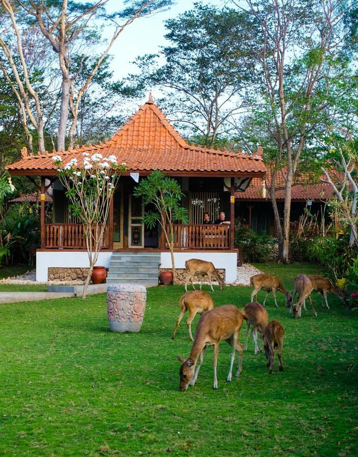 Plataran Menjangan Resort And Spa - Chse Certified Banyuwedang Δωμάτιο φωτογραφία